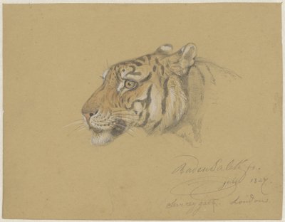 Kopf eines Tigers von Raden Sarief Bastaman Saleh