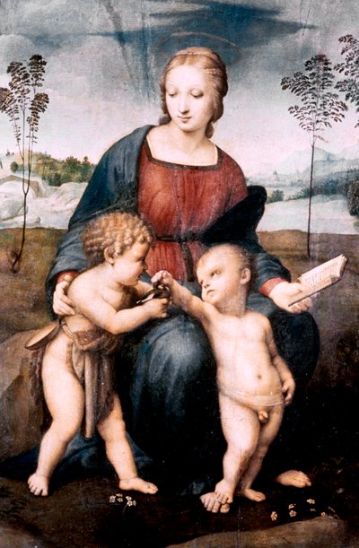 Madonna del Cardellino, 1507 von Raffaello Sanzio Raphael