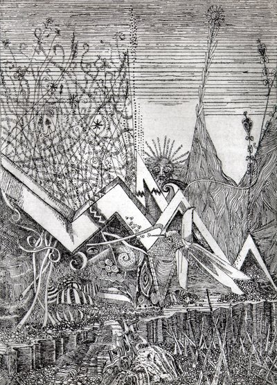 Kolibri von Raimondo Gambino