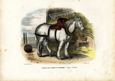 Englisches Bauernpferd, 1863-79 von Raimundo Petraroja