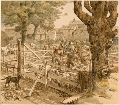 Schafschur in Cornwall von Randolph Schwabe