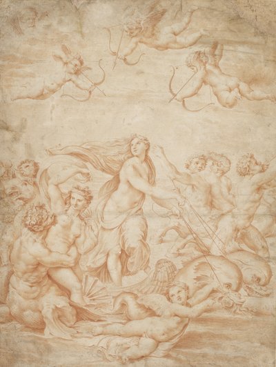 Der Triumph der Galatea von after Raphael