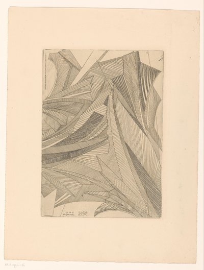 Geometrische Muster von Eisblumen von Reijer Stolk