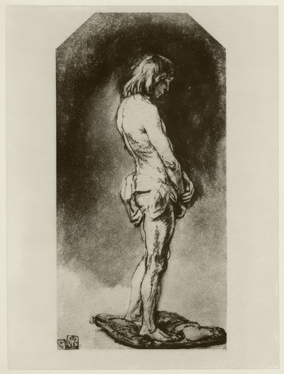 Männlicher Akt von Rembrandt van Rijn