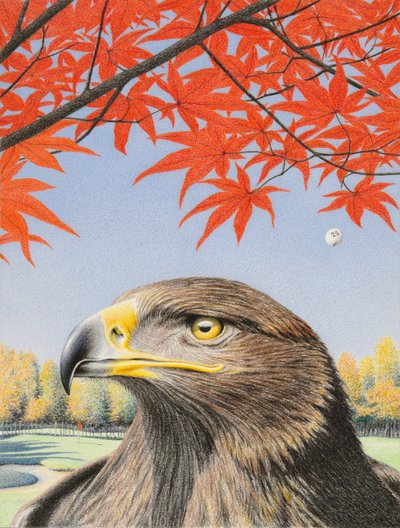 Adler von Rene Boin