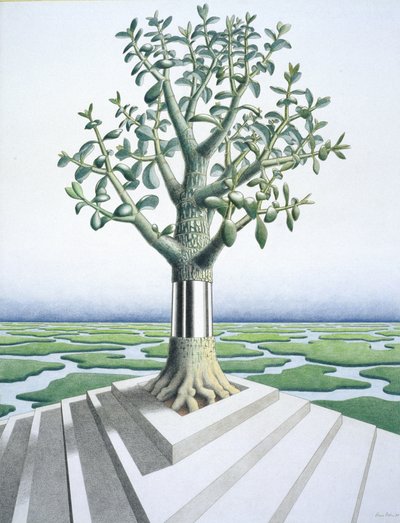 Sukkulent von Rene Boin