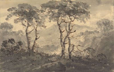 Tannen in einer Berglandschaft von Rev. William Gilpin