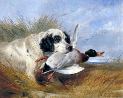 Hund mit Wildente von Richard Ansdell