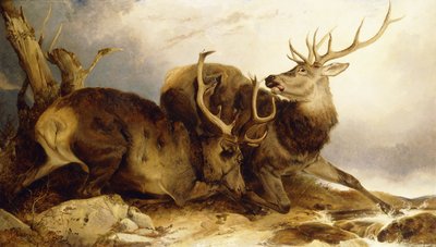 Der Kampf von Richard Ansdell