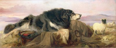 Der Hund des Schäfers von Richard Ansdell