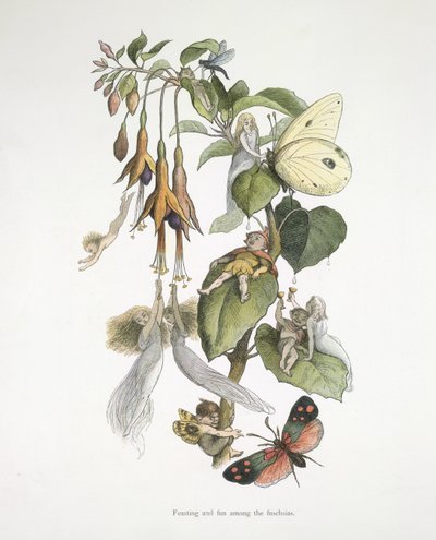 Schlemmen und Spaß unter den Fuchsien von Richard Doyle
