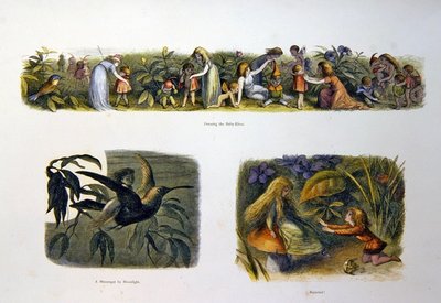 Im Feenland von Richard Doyle