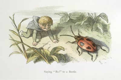 Bo! zu einem Käfer sagen von Richard Doyle