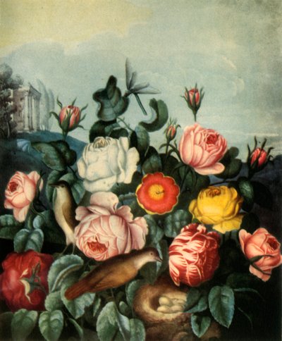 Rosen, 1799 von Richard Earlom