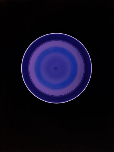 Ohne Titel, 2004 von Richard Green