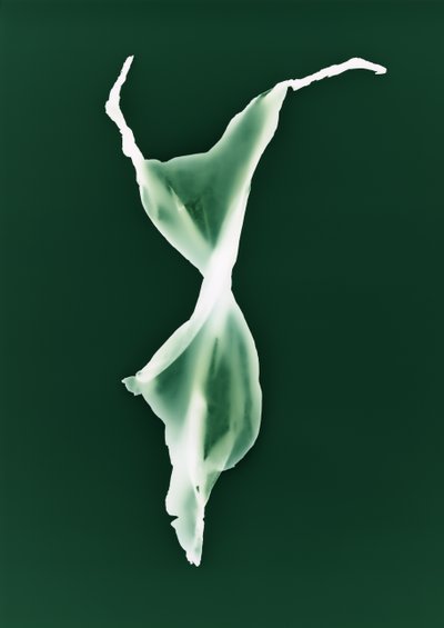 Ohne Titel von Richard Green