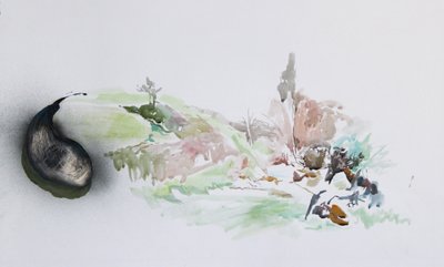 Illegale Müllentsorgung, 2015 von Rob D Davies