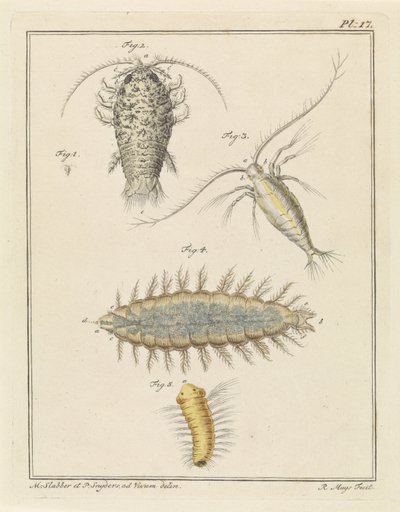 Assel, Copepode und Borstenwurm von Robbert Muys