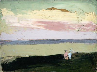 Küstenlandschaft bei Sonnenuntergang von Robert Cozad Henri