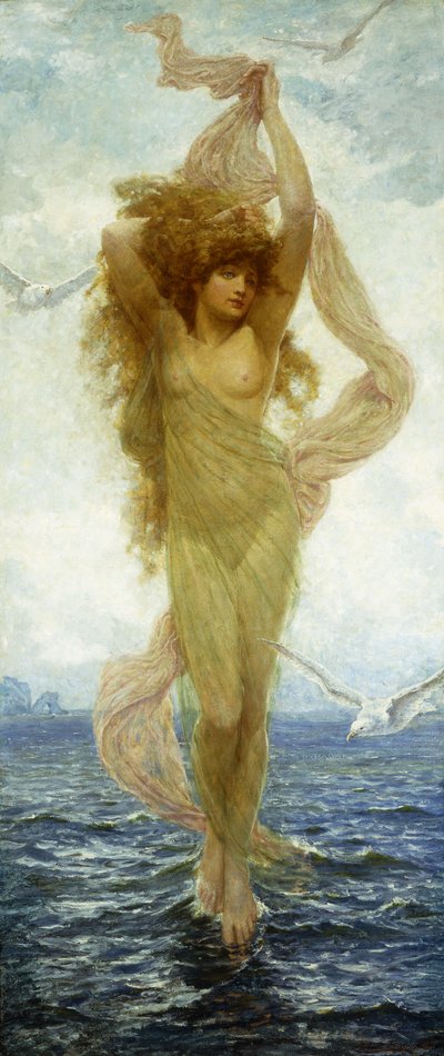 Die Geburt der Venus von Robert Fowler