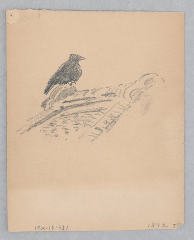 Vogel von Robert Frederick Blum