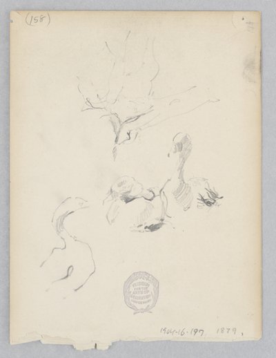 Enten von Robert Frederick Blum
