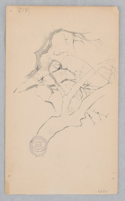 Baumzweig von Robert Frederick Blum