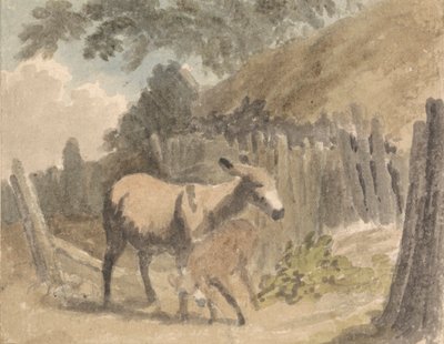Ein Esel und Fohlen von Robert Hills