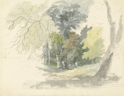 Eine Waldlichtung von Robert Hills