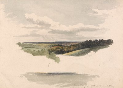 Zwischen Netley Heath und Albury von Robert Hills