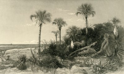 An der Küste Floridas, 1872 von Robert Hinshelwood