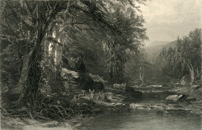 Die Adirondack-Wälder, 1874 von Robert Hinshelwood