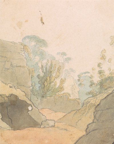 Landschaft mit Felsen von Robert Mabon