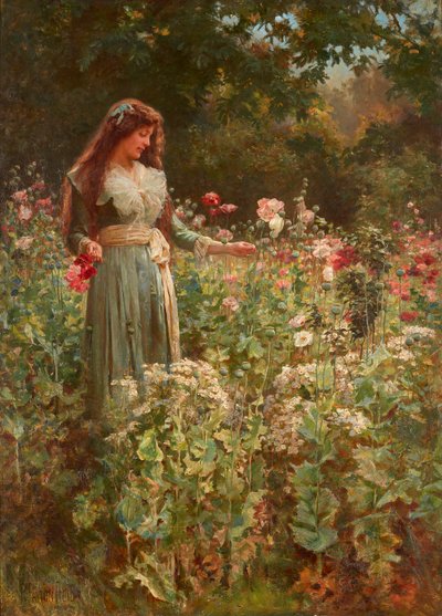 Mohnblumen sammeln von Robert Payton Reid