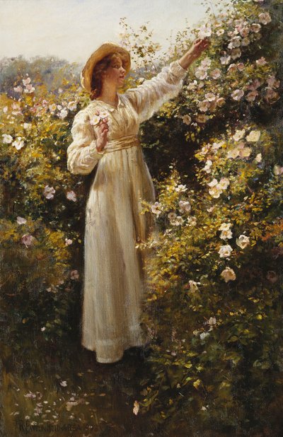 Wilde Rose von Robert Payton Reid