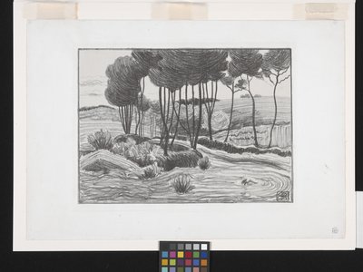 Die Pappeln von Robert Polhill Bevan