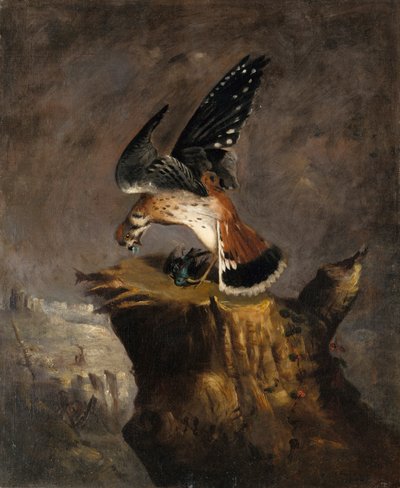 Geier und seine Beute, 1844 von Robert Seldon Duncanson