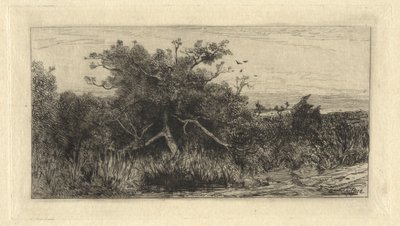 Knotiger Baum von Robert Swain Gifford