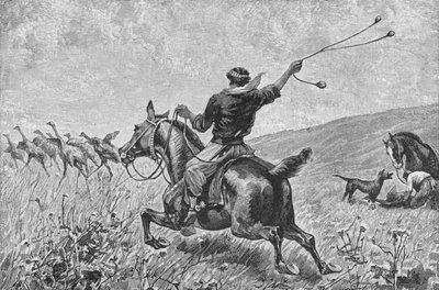 Das Werfen der Bolas, ca. 1885 von Robert Taylor Pritchett