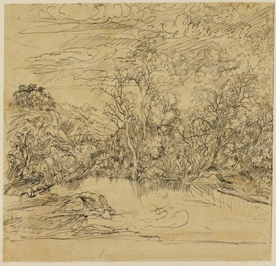 Ufer eines Teiches von Rodolphe Bresdin