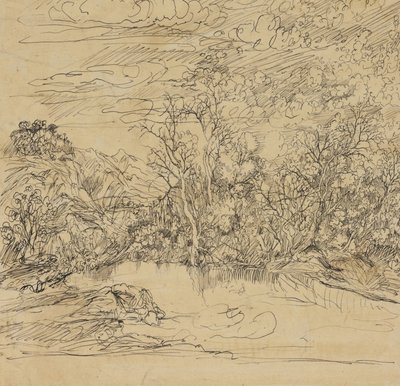 Ufer eines Teiches von Rodolphe Bresdin