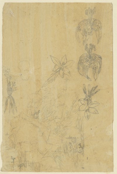 Blumenstudien und badende Frauen von Rodolphe Bresdin