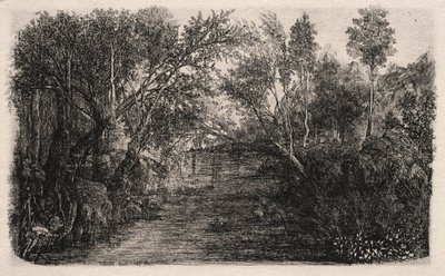 Der Bach von Rodolphe Bresdin