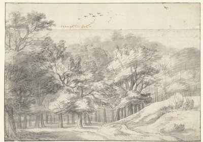 Ansicht im Haagse Bos von Roelant Roghman