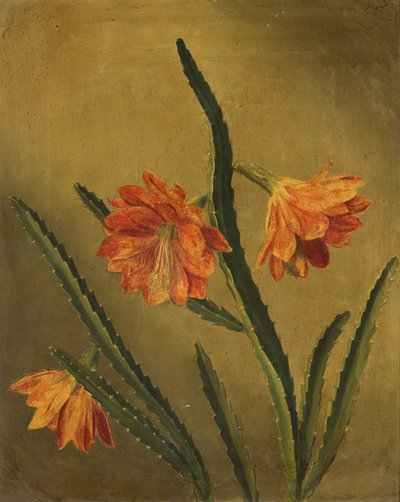 Studie von Blumen von Rolinda Sharples