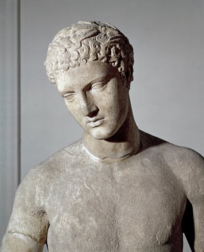 Boxer von Roman