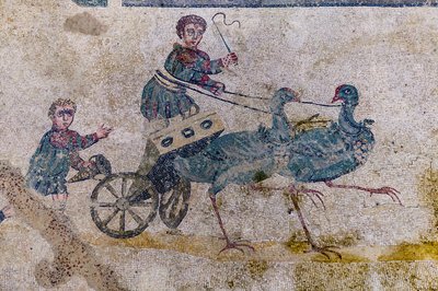 Wagenrennen mit von Vögeln gezogenen Wagen von Roman