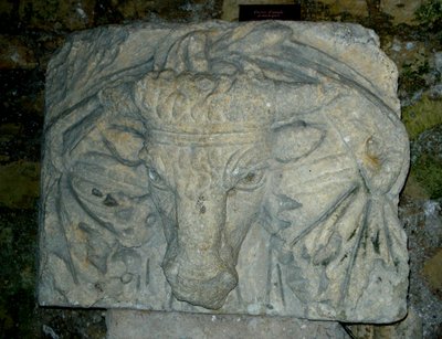 Kopf eines Stiers von Roman