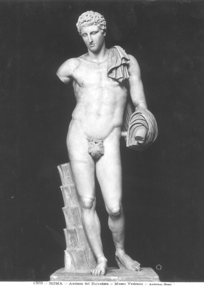 Hermes, genannt Antinous del Belvedere von Roman