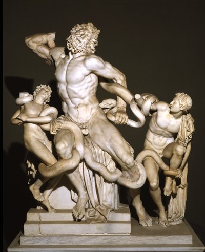 Laokoon und seine Söhne von Roman
